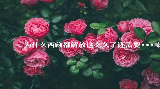 为什么西藏都解放这么久了还需要***喇嘛和班禅转世活佛来巩固凝聚力?