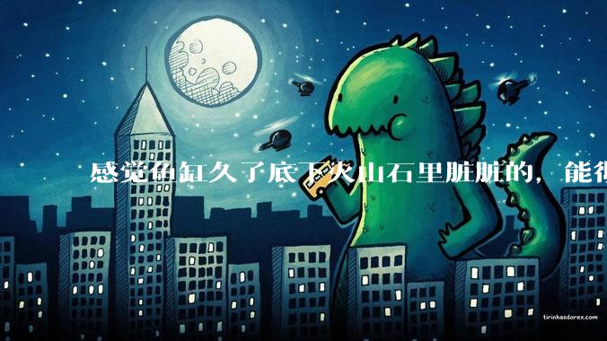 感觉鱼缸久了底下火山石里脏脏的，能彻底换水清理一遍不？