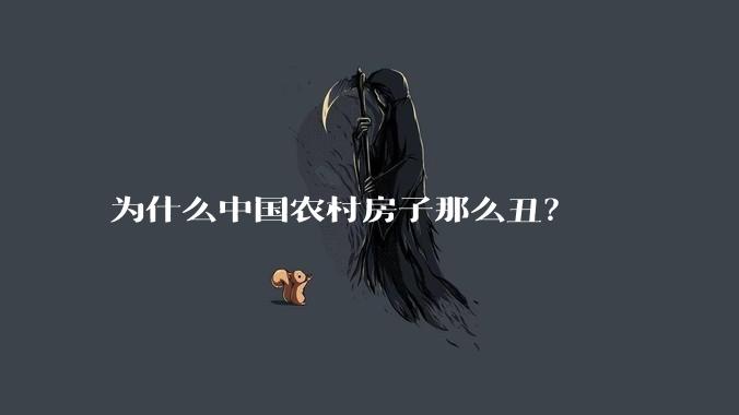 为什么中国农村房子那么丑？