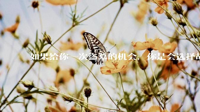 如果给你一次盗墓的机会，你是会选择胡八一一组还是吴邪一组?