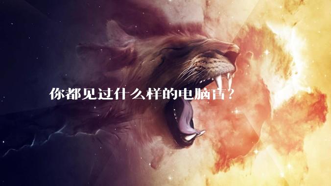 你都见过什么样的电脑盲？