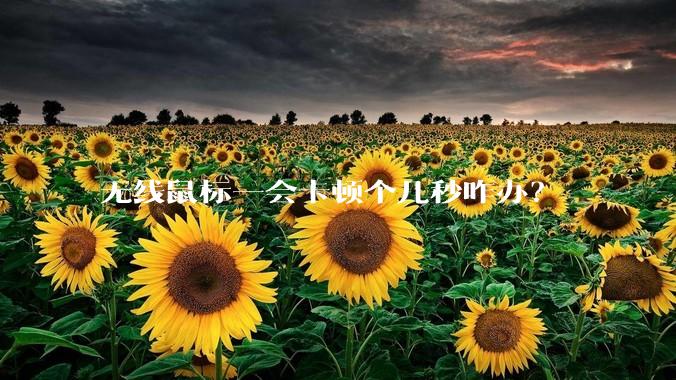 无线鼠标一会卡顿个几秒咋办？
