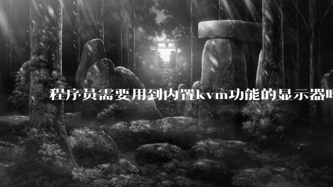 程序员需要用到内置kvm功能的显示器吗？或者是外置的kvm切换器吗？